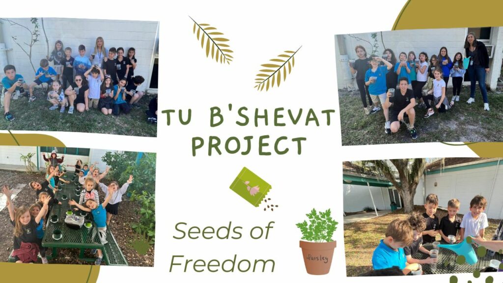 6 - 02.07.23 - Tu B'shvat project